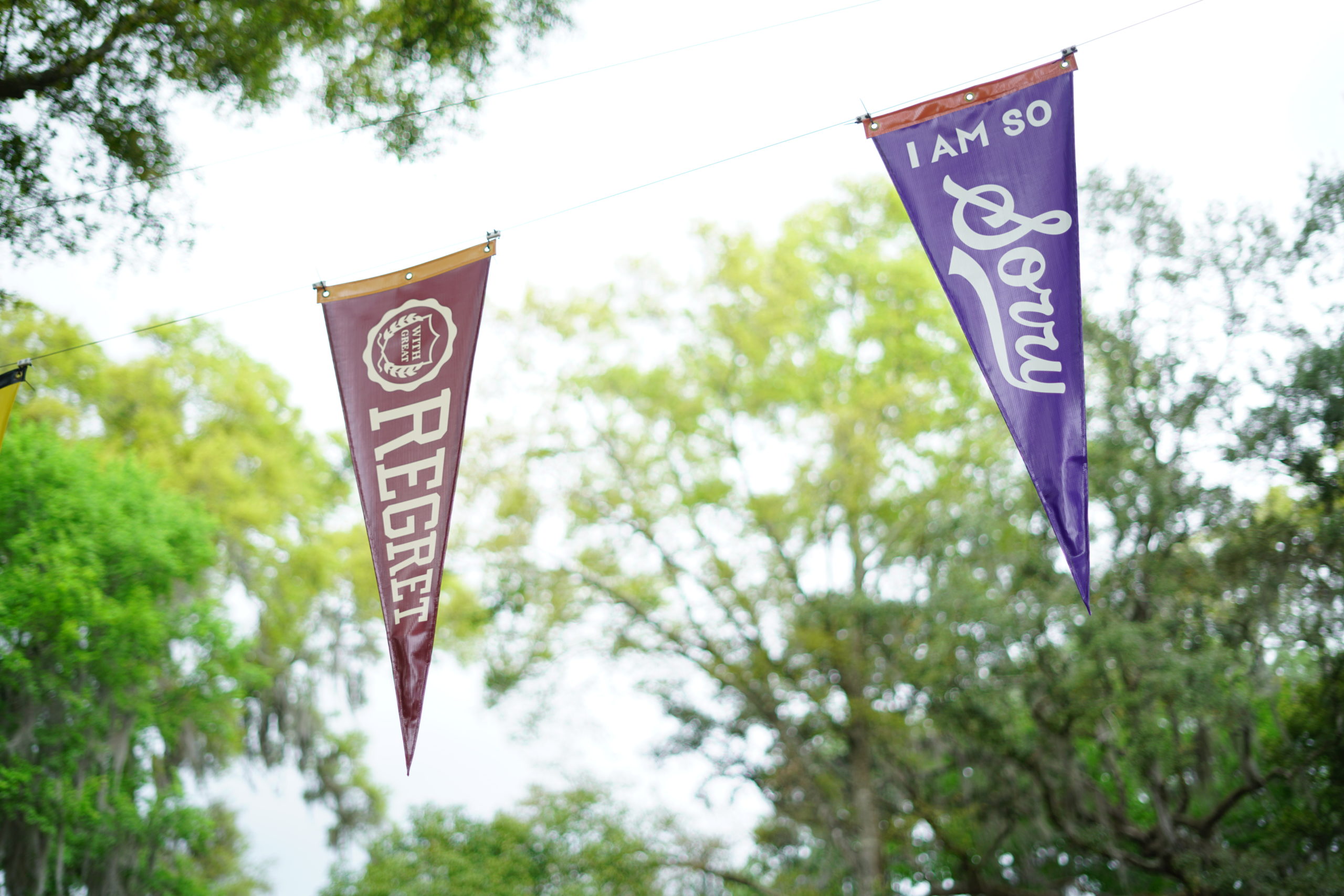 pennants hanging outside in a lush setting, one says I am  so sorry and the other says with regret