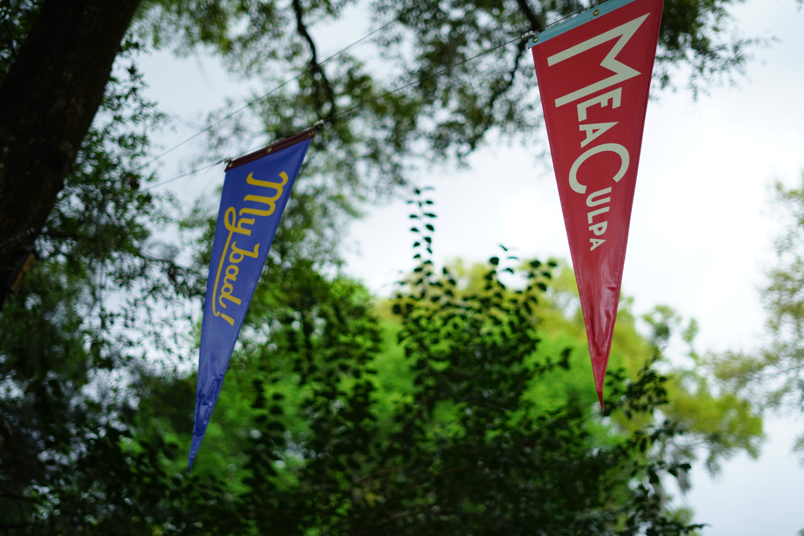 pennants hanging outside in a lush setting, one says mea culpa and the other says my bad