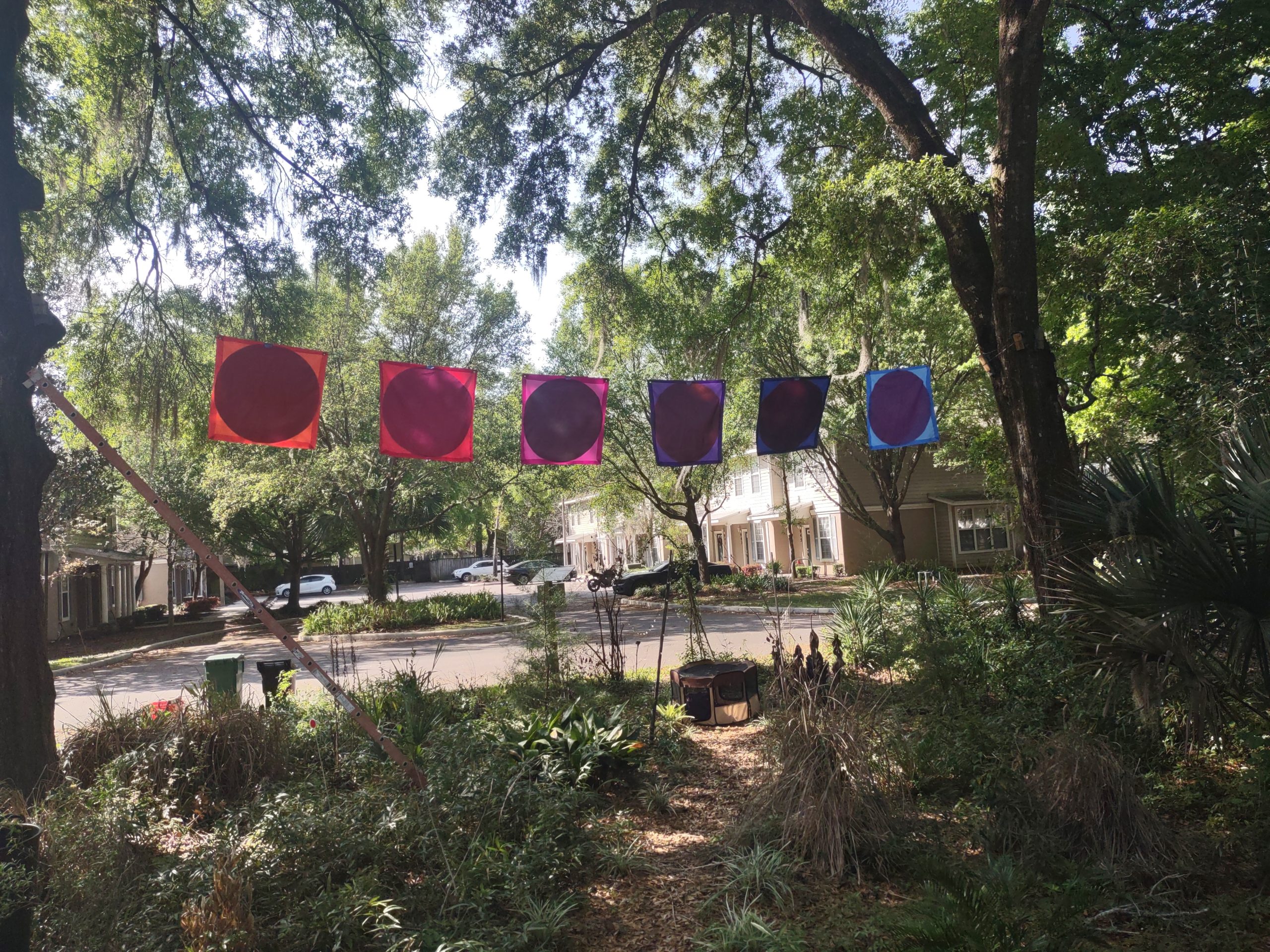 brightly colored square flags with a different color circle filling most of the space in an outdoor setting, all the flags hang side by side on a line