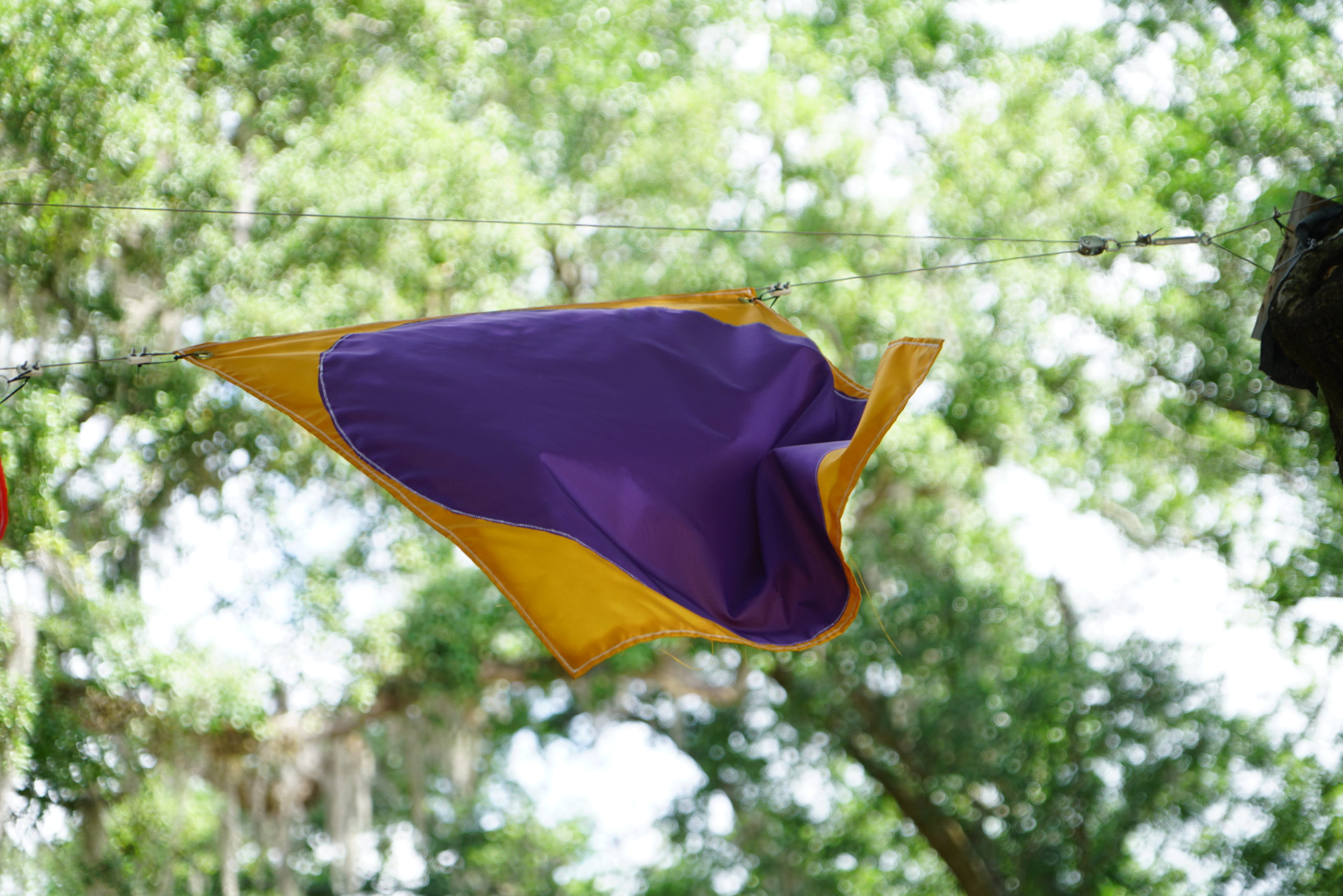 waving gold and purple flag