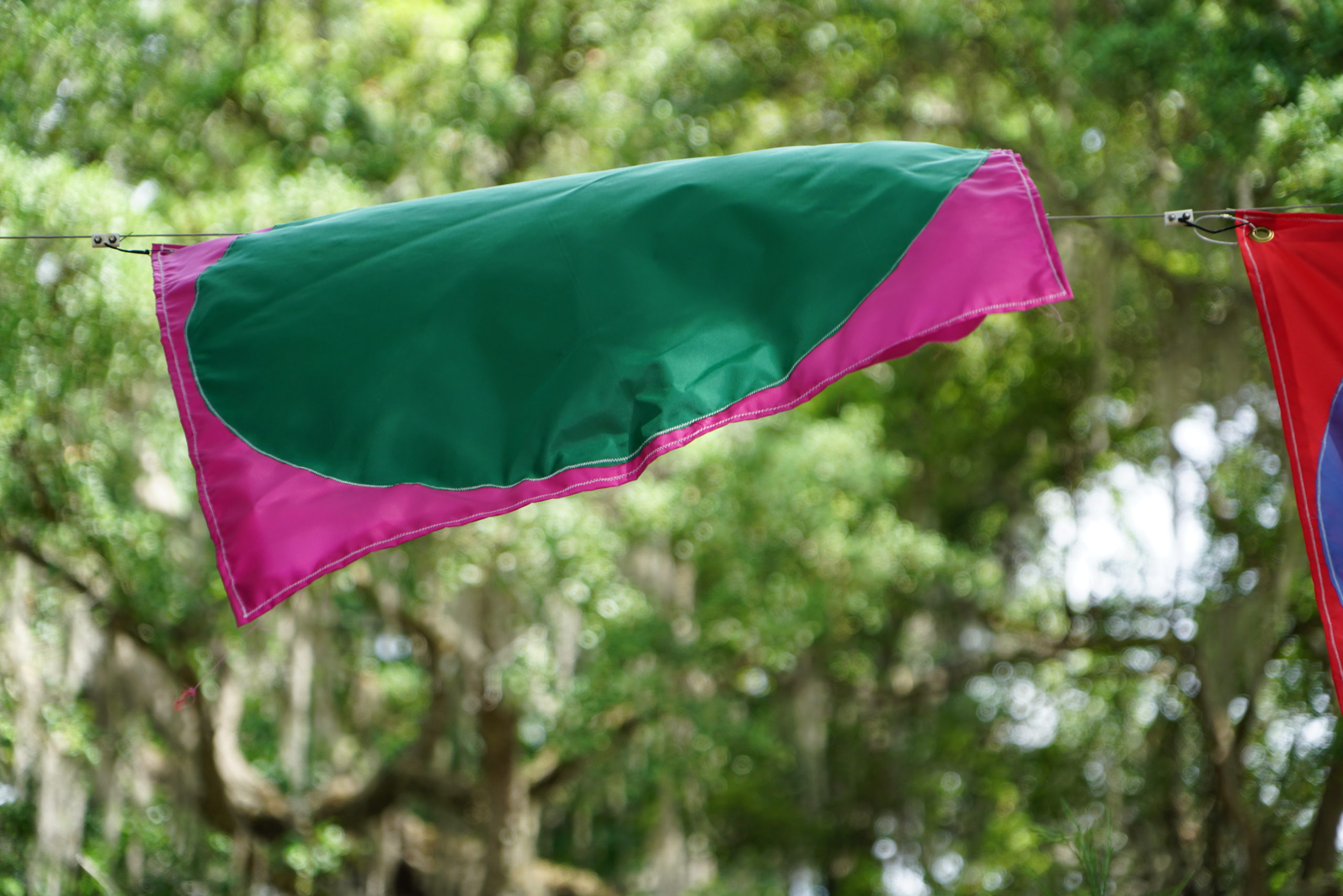 waving pink and green flag